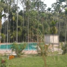 Infinity Resort Kaziranga, Кохора — фото 5