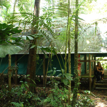 Daintree Crocodylus Village, Cow Bay — photo 3