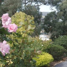 Country Charm - Swiss Cottages, Beechworth — photo 4