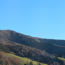 Gasthaus Zur Linde, Oberglottertal — photo 3