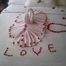 Blue Nile Hotel, Bahar Dar — photo 3