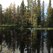 Villa Kuukkeli, 萨拉 — 照片 4