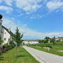 Freigut Thallern, 古姆波尔德斯基兴 — 照片 4