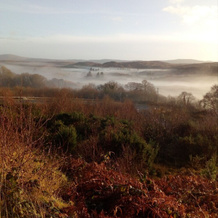 Willow Cottage Donegal B&B, Cloghan — photo 5