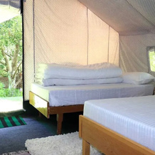 Apple Orchard Farm and Camping, 塞林切 — 照片 2