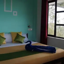 Grace Inn Munnar Homestay, Муннар — фото 4
