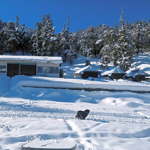 Sun And Snow Camp, Чамоли — фото 2