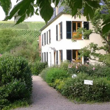 Weingut Schmitz-Simon, Вильтинген — фото 4