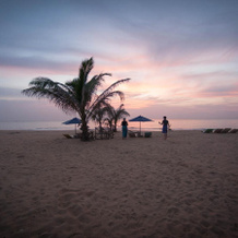 Bar Reef Resort, 科亚瓦迪 — 照片 5