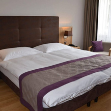 Victoria - Alpine Boutique Hotel & Fine Dining, 迈林根 — 照片 2