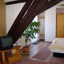 Garni Hotel Bären, 洛斯堡 — 照片 3