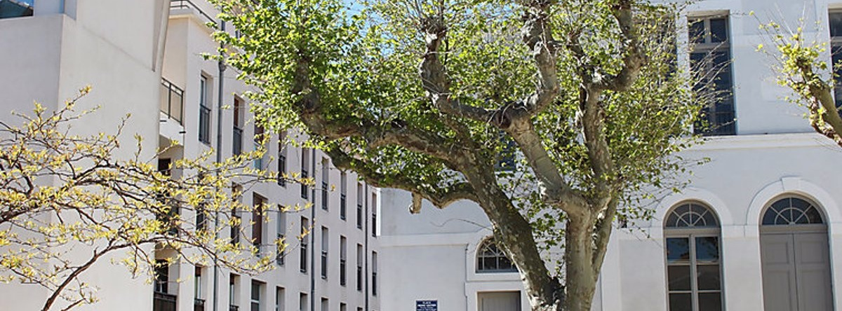 LIlot Saint Jacques, 拉西奥塔 — 照片 1