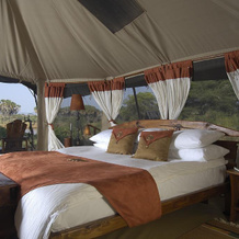 Elephant Bedroom Camp - Samburu, 桑布鲁 — 照片 4