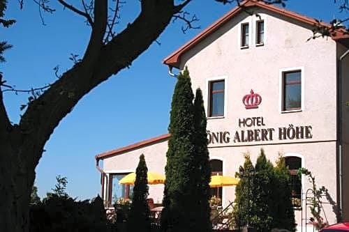Hotel König Albert Höhe, 拉伯瑙 — 照片 1