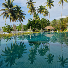 Paradise Beach Club, 米瑞莎 — 照片 5