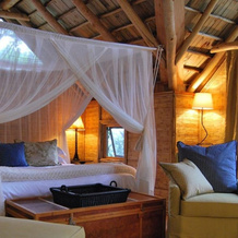 Phantom Forest Eco Reserve, 克尼斯纳 — 照片 2