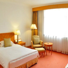 Wenfeng Hotel, Наньтун — фото 3