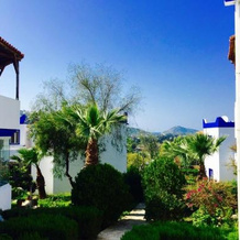My House Bodrum Holiday Village, 居米什吕克 — 照片 3