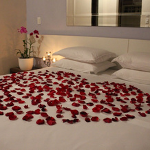 Frangipani Hotel Boutique, 布罗塔斯 — 照片 5