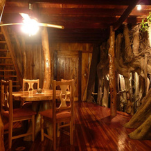 Topos Tree House, Кауита — фото 4