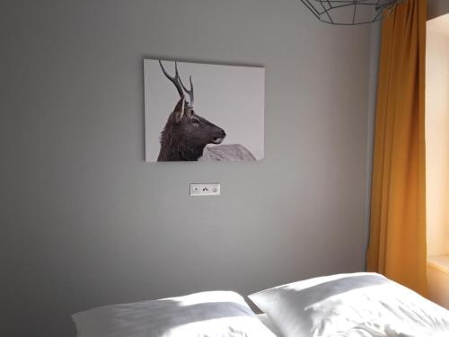 Hotel Pod Kaplickou, Mala Moravka — photo 1