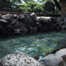 Plaza Hotel Sanrokuso Bekkan Shikisai, Semboku — photo 4