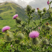 The Gantocks, Fort William — photo 3