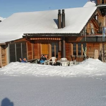 Bergdohle, Adelboden — photo 5