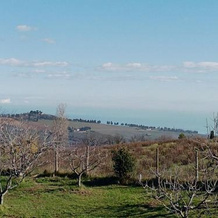 Belle Marche, Чивитанова-Марке — фото 3