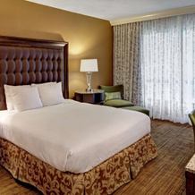 Hilton St. Louis Airport, Мэриленд-Хайтс — фото 3
