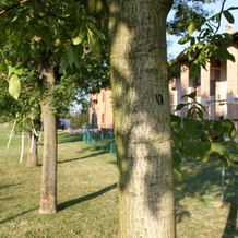 Giardino Di Mia, Calderara di Reno — photo 3