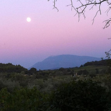 Domaine Fontaine, Visan — photo 3