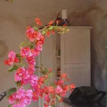 Casita jardín, Las Casitas de Femes — photo 5
