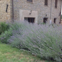 B&B Mulino Barchio, Cupramontana — photo 2