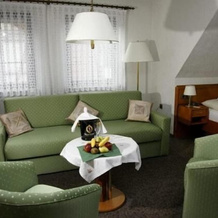 Hotel Restaurant Pempel, Гросальмероде — фото 2