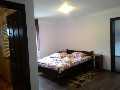 Cabana Georgiana, Ариесени — фото 1