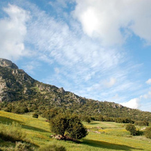 Cortijo Lagarín, Эль-Гастор — фото 2