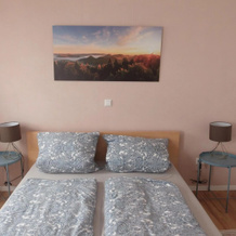 Ferienwohnung Palatina Annweiler, Annweiler am Trifels — photo 4