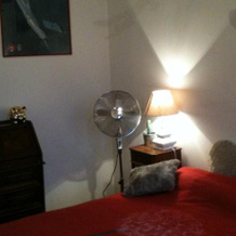 Lovely House, Rosa — photo 4