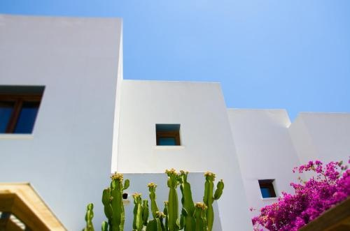 Casa Marlene, 拉斯内格拉斯 — 照片 1
