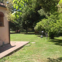 Agriturismo Bethsaid, Fauglia — photo 2