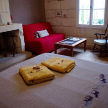 Chambre d'hôtes Tournemire, 安德尔河畔尚堡 — 照片 4