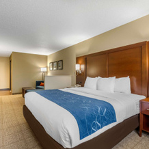Comfort Suites Cedar Falls Industrial Park, Cedar Falls — photo 4