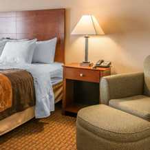 Quality Inn, New Buffalo — photo 3