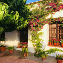 Casa Rural La Morera, 多洛雷斯 — 照片 4