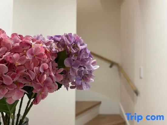 nestay villa tokyo itabashi, 东京 — 照片 1