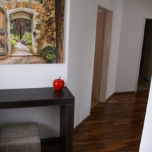Moor Apartment, Singen — photo 5