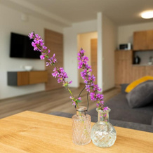 Vis Saar Vie - Appartements Saarschleife, 梅特拉赫 — 照片 3