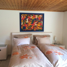 Idyllische Ferienwohnung am See, 埃尔马廷根 — 照片 4