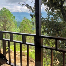 Sukoon, Bhatrojkhan, Near Ranikhet, 拉尼凯特 — 照片 4